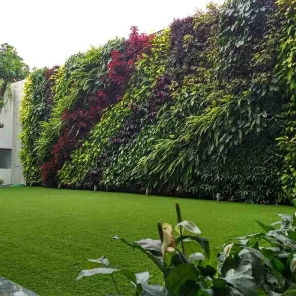 Pembuatan taman vertical garden